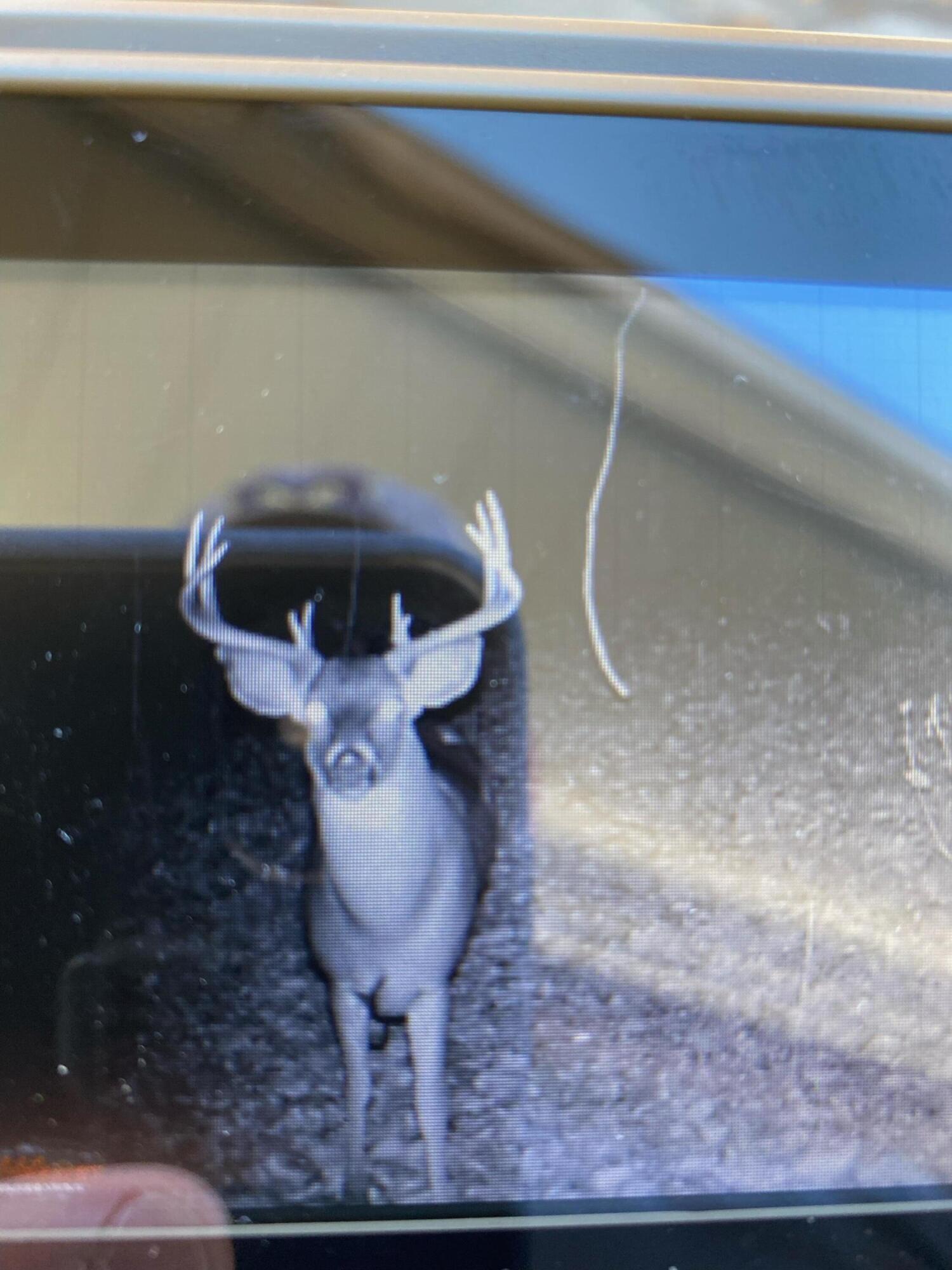 9710 11 Mile Road NE