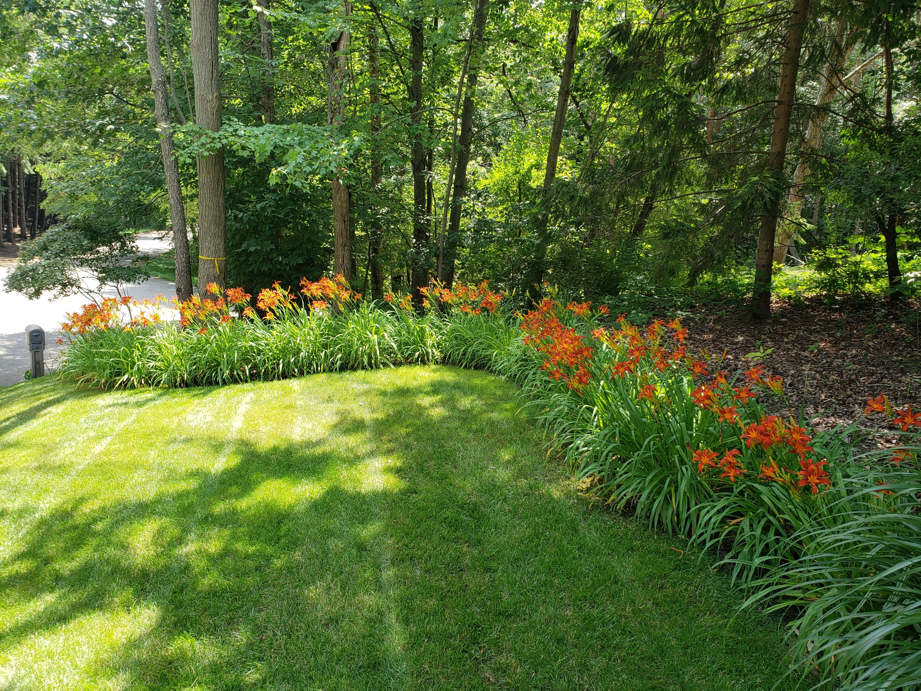 2194 Timber Valley Drive NE