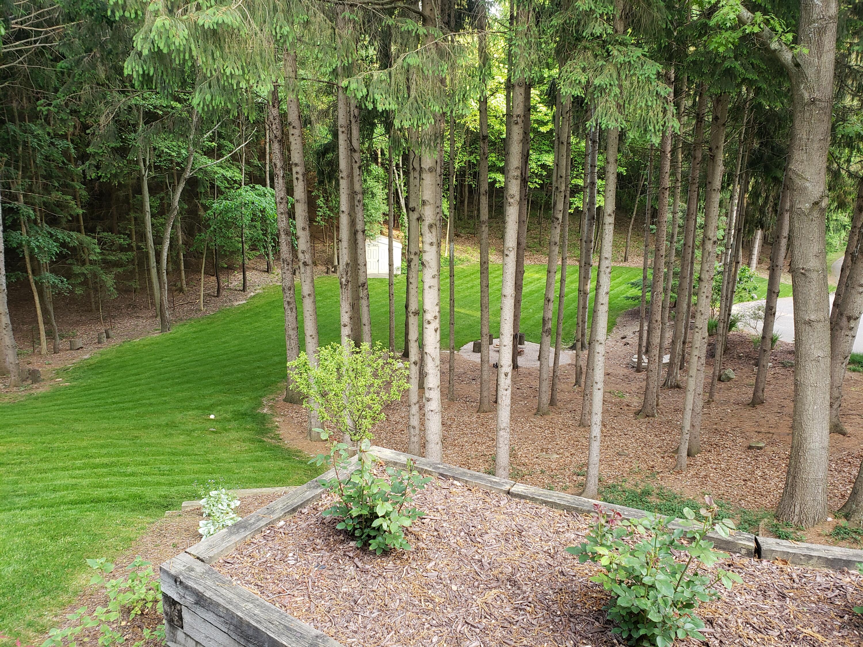 2194 Timber Valley Drive NE