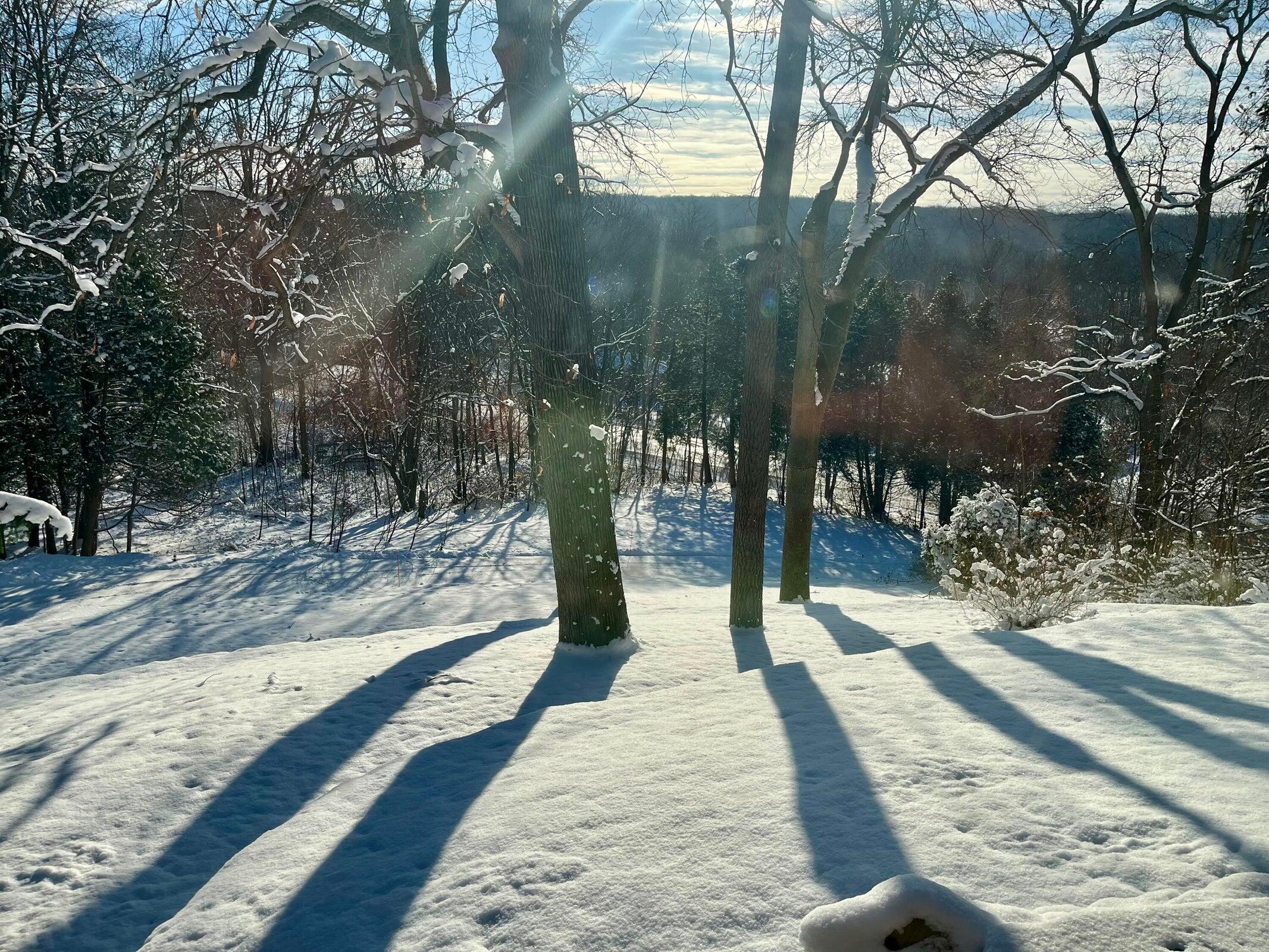 10505 Fulton Street E