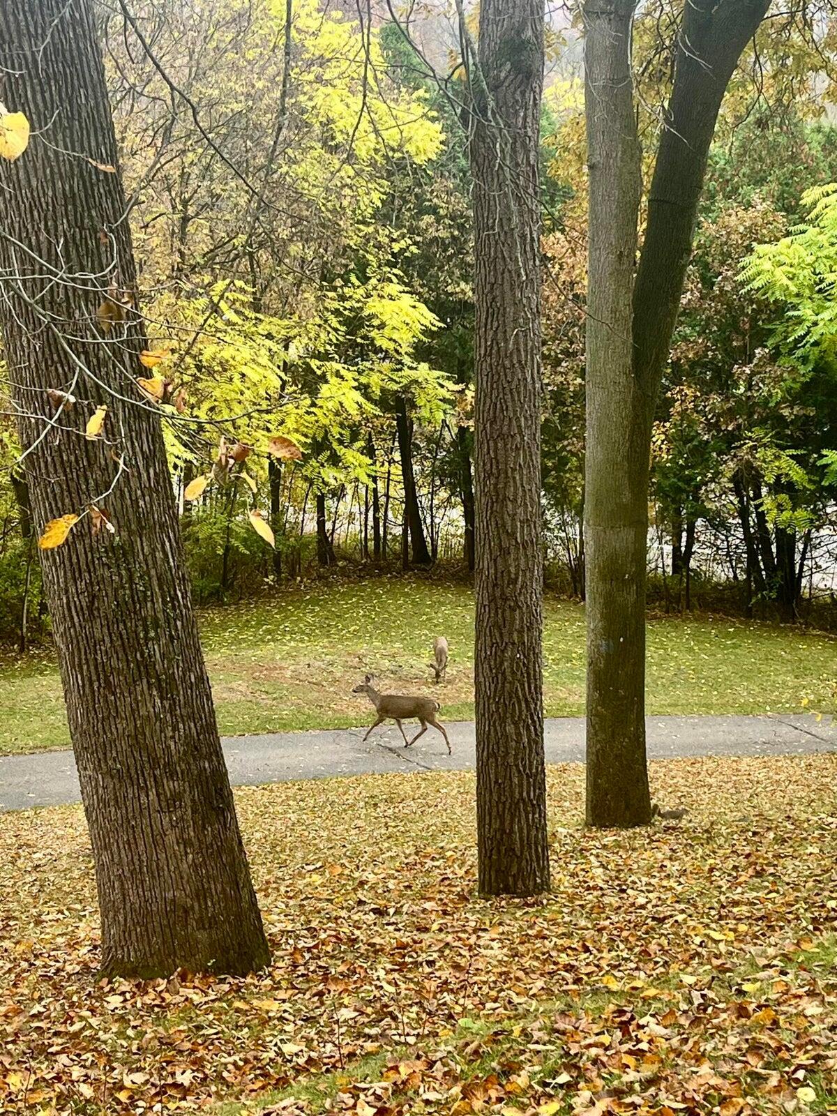 10505 Fulton Street E