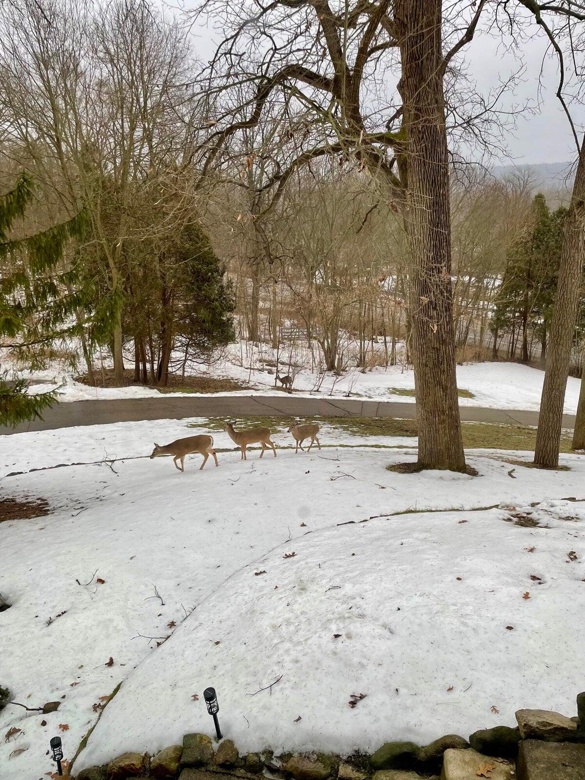 10505 Fulton Street E