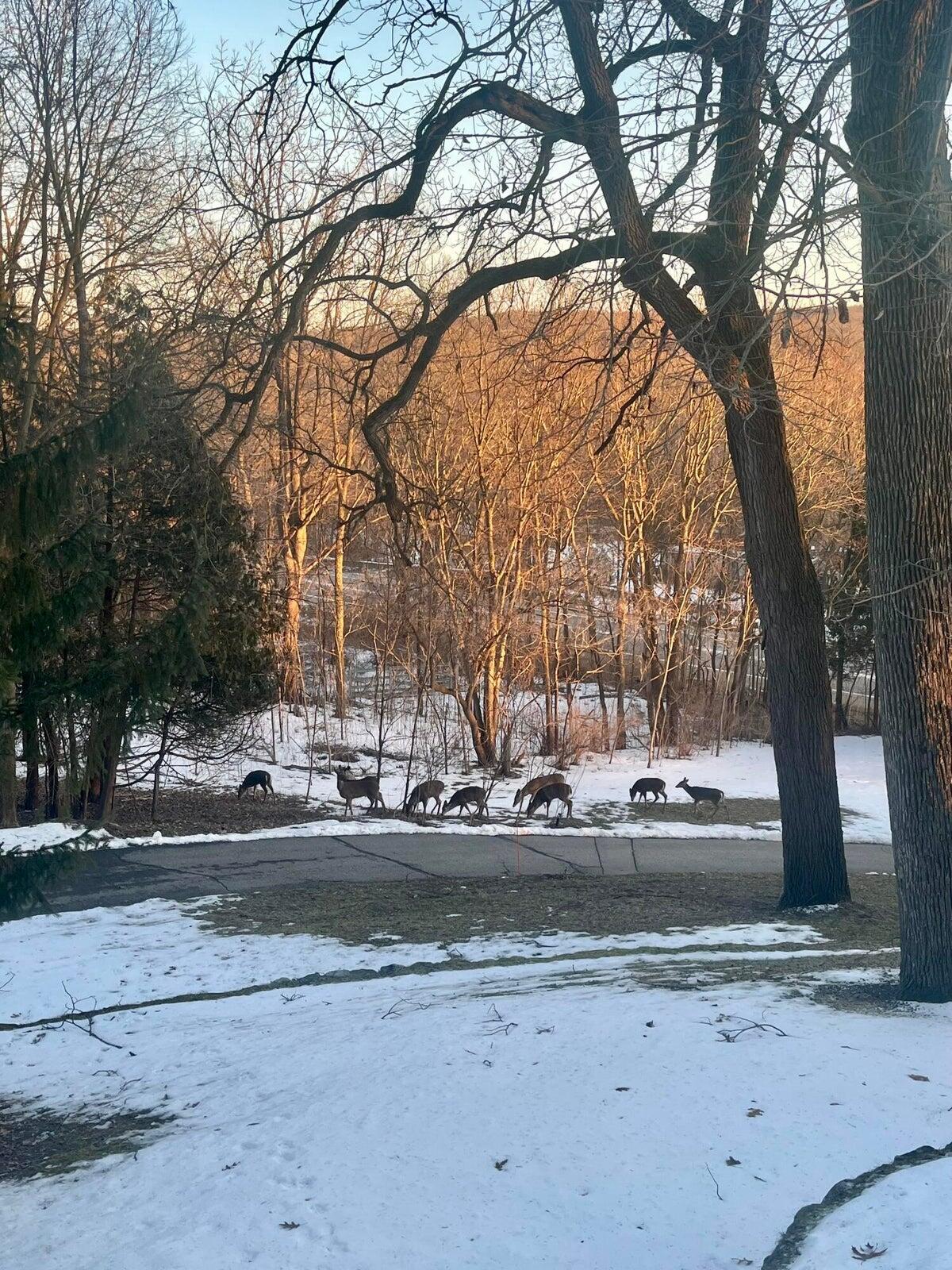 10505 Fulton Street E