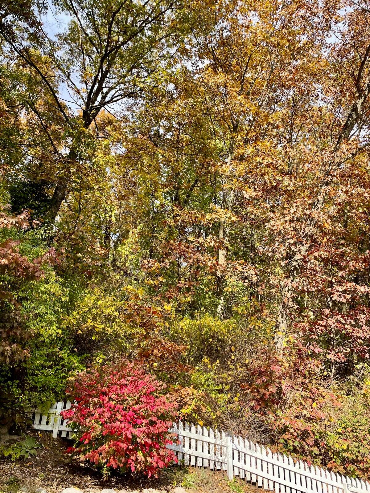 10505 Fulton Street E