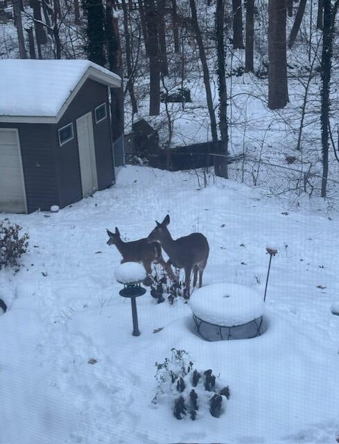 1154 Springwood Drive SE