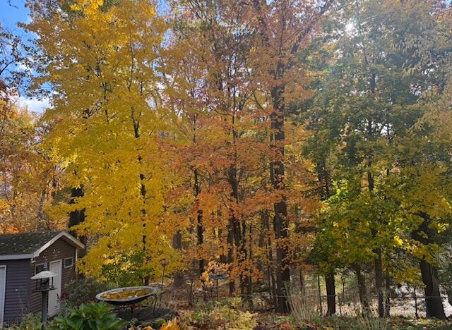 1154 Springwood Drive SE