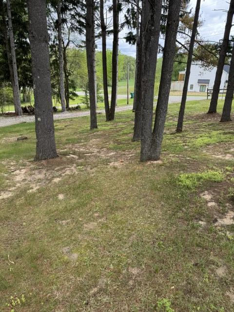 67224 Klinger Lake Road
