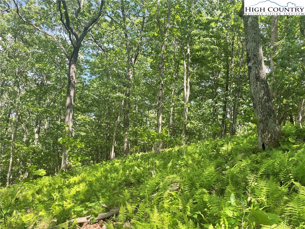 Lot 66 Bob Timberlake Drive