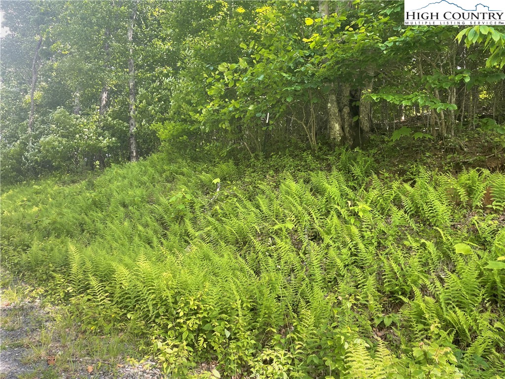 Lot 66 Bob Timberlake Drive
