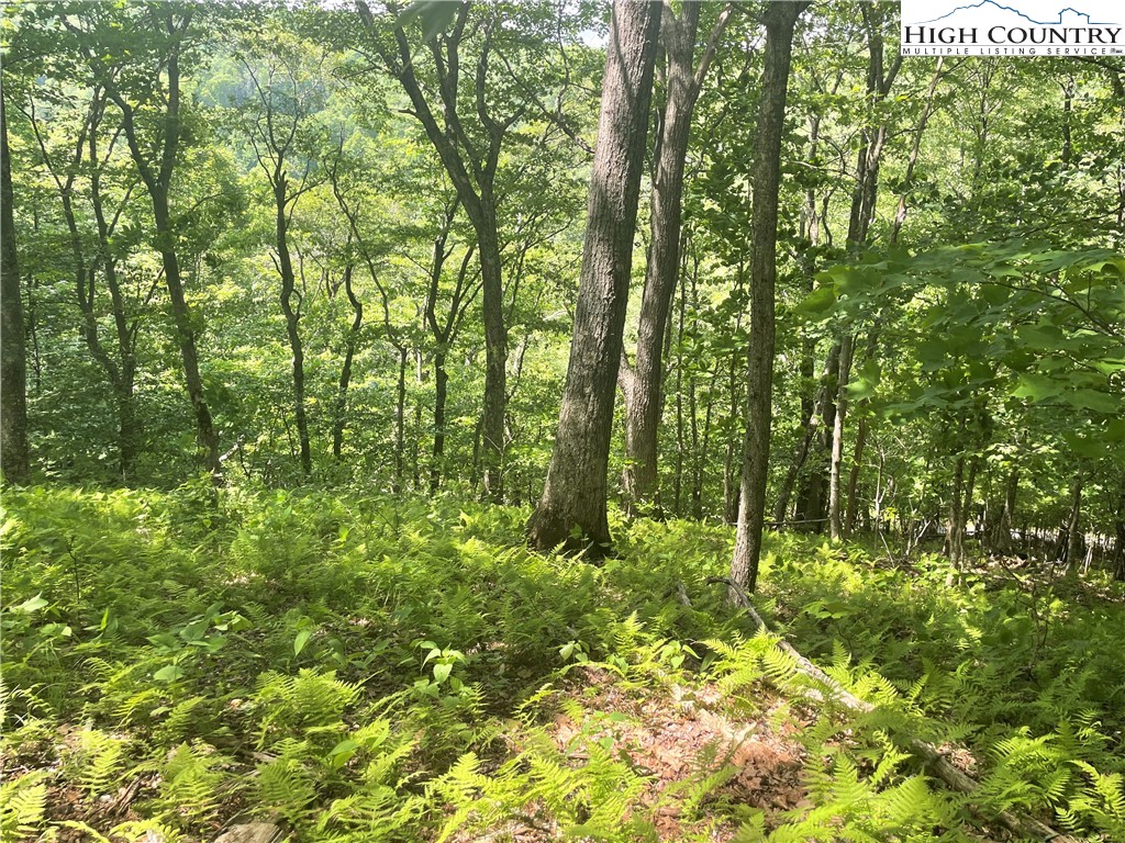 Lot 66 Bob Timberlake Drive