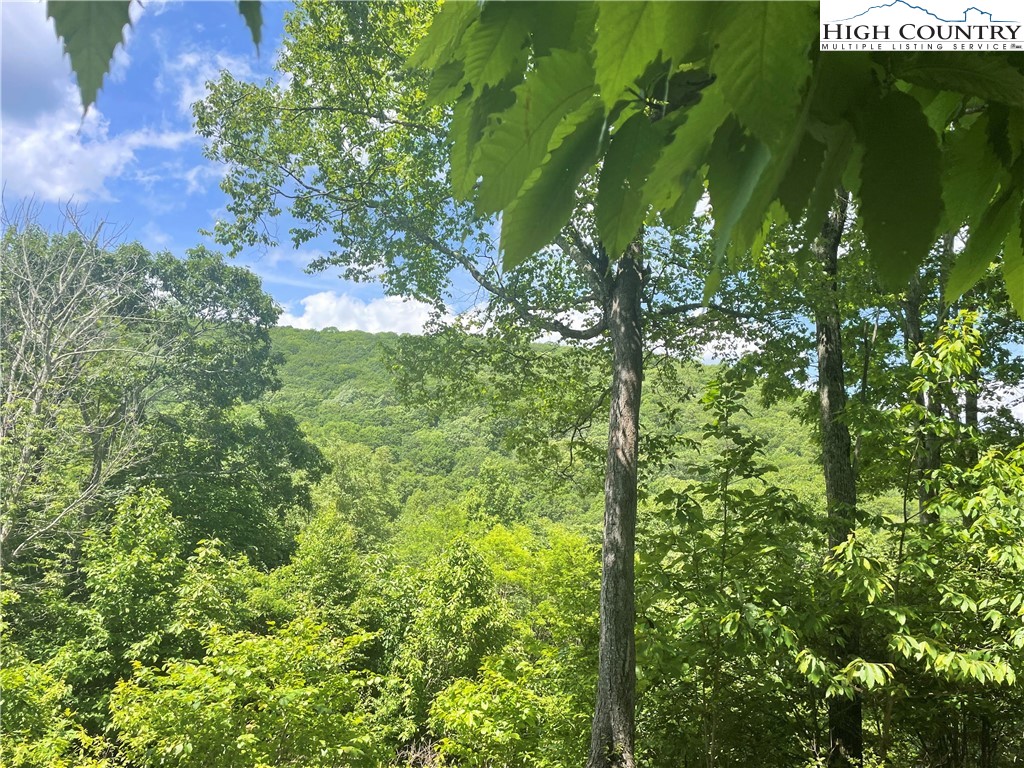 Lot 66 Bob Timberlake Drive