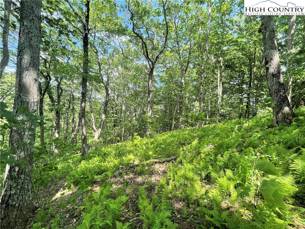 Lot 66 Bob Timberlake Drive