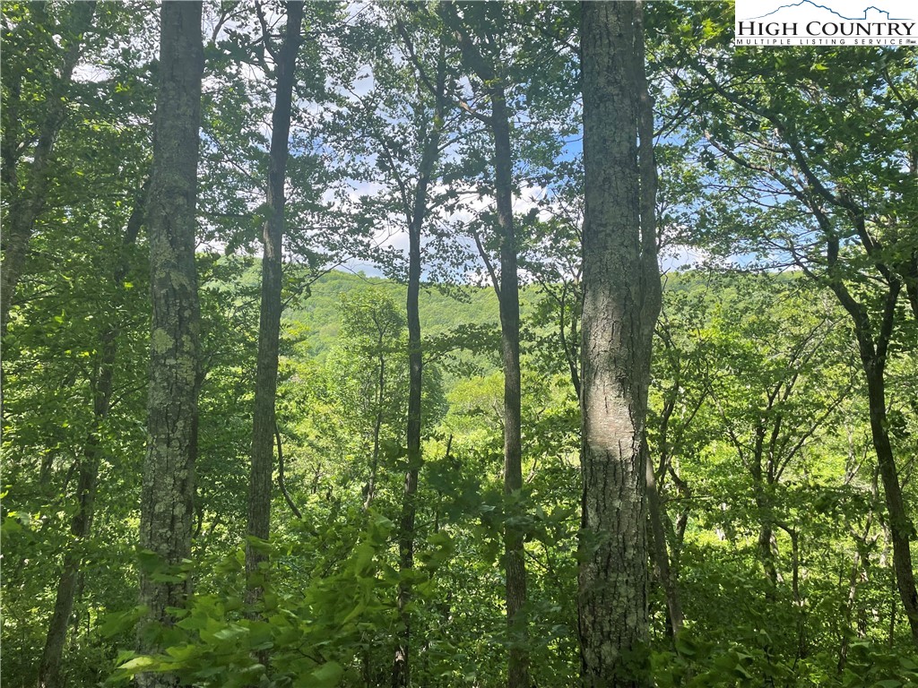 Lot 66 Bob Timberlake Drive