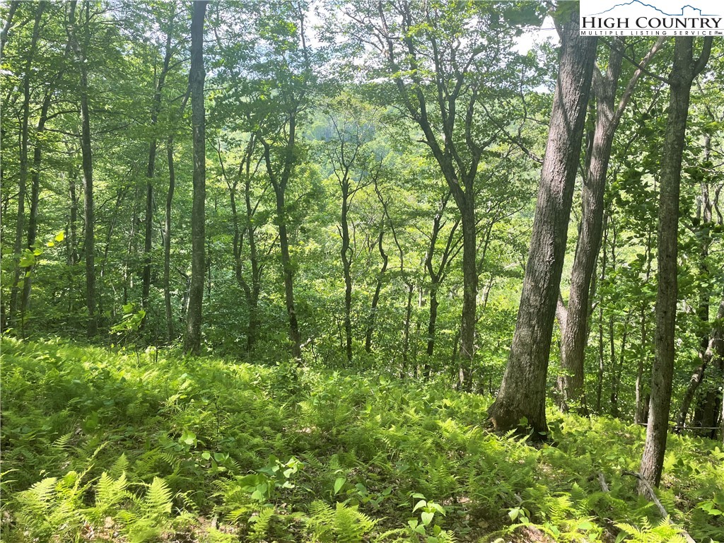 Lot 66 Bob Timberlake Drive