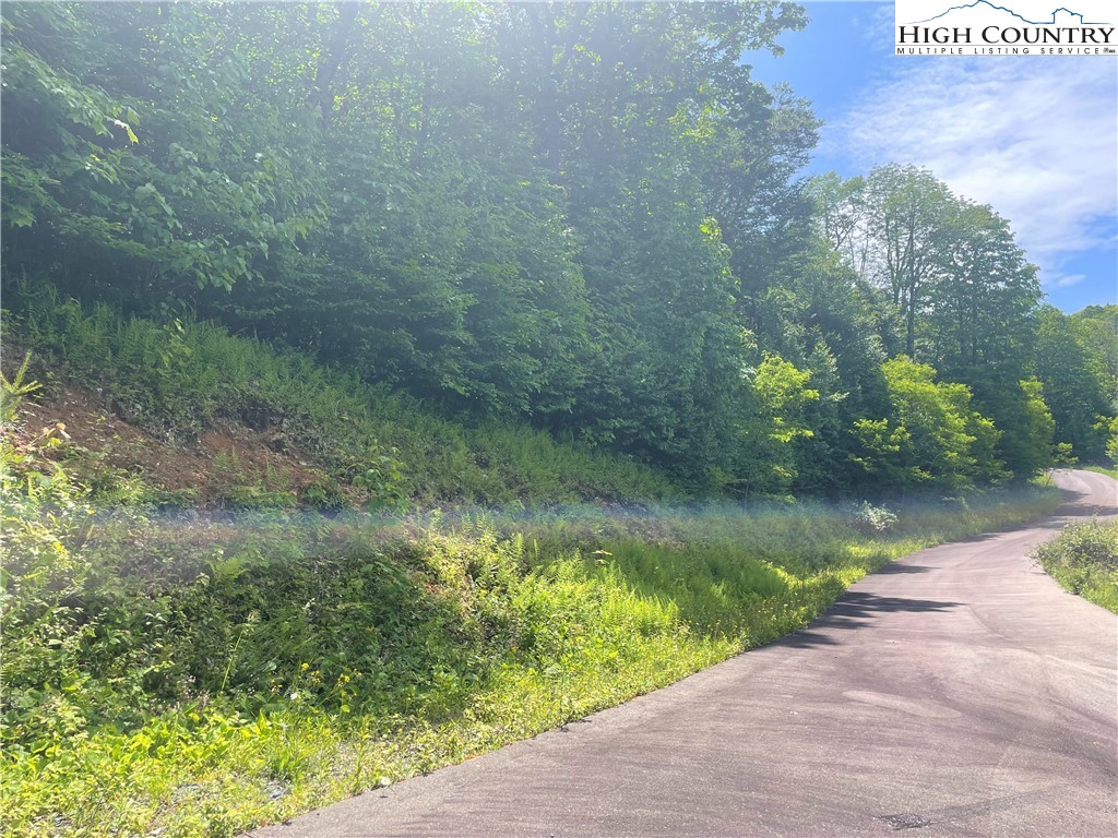 Lot 66 Bob Timberlake Drive