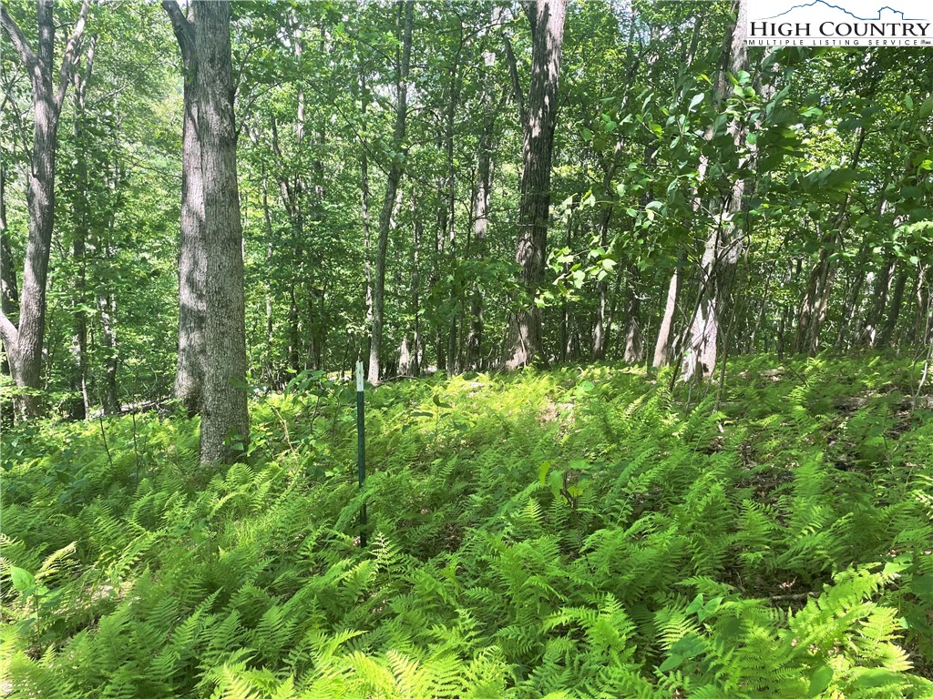 Lot 66 Bob Timberlake Drive