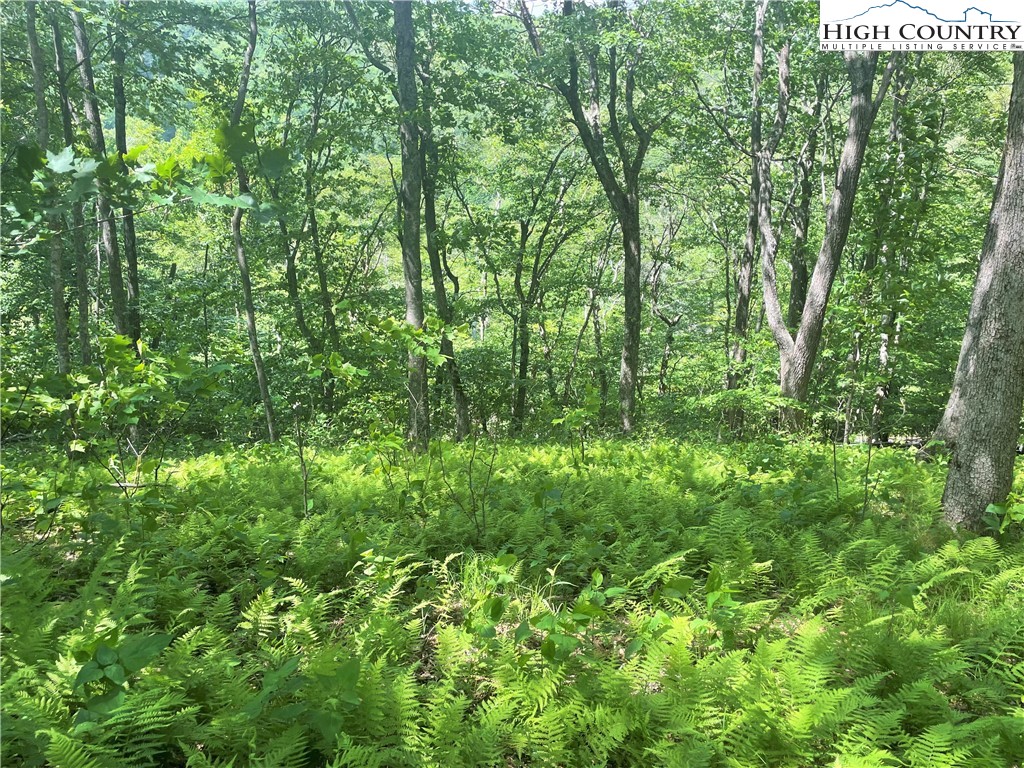 Lot 66 Bob Timberlake Drive