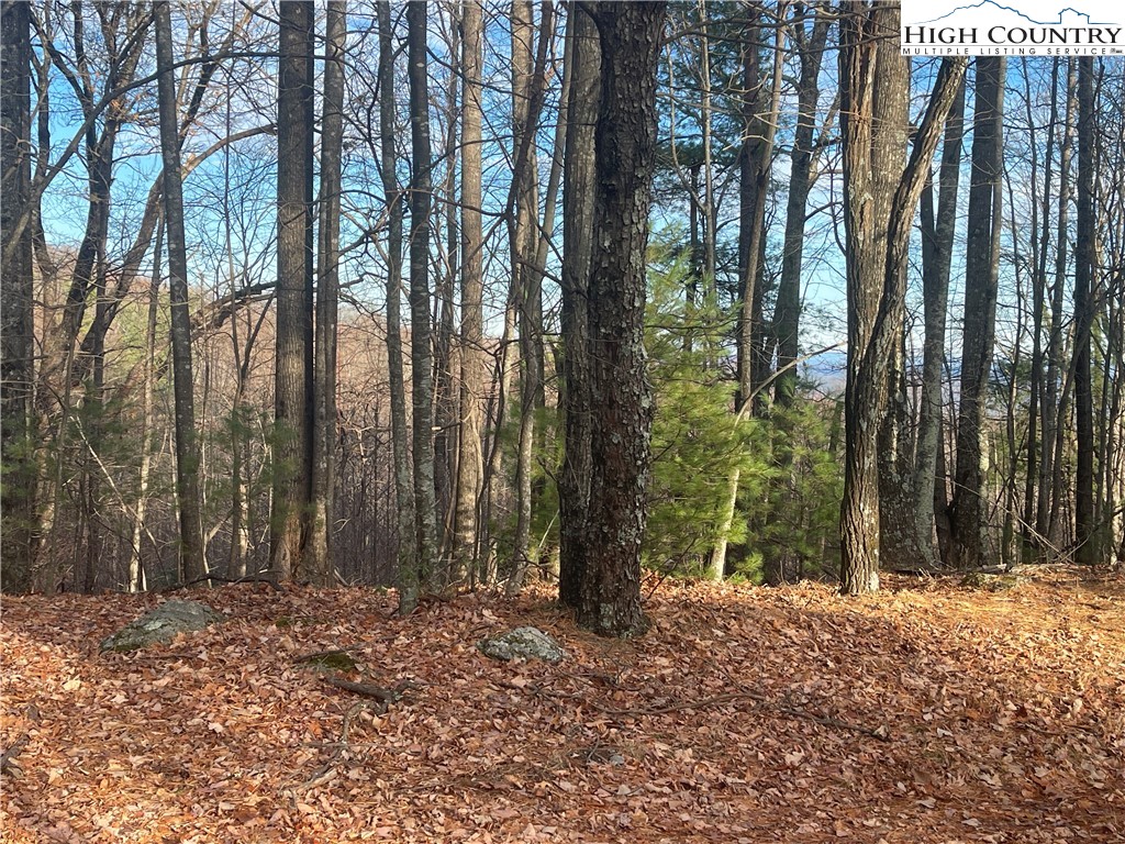 Lot 14 Eagle Nest Drive