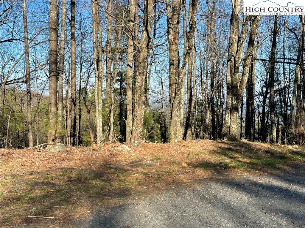 Lot 14 Eagle Nest Drive