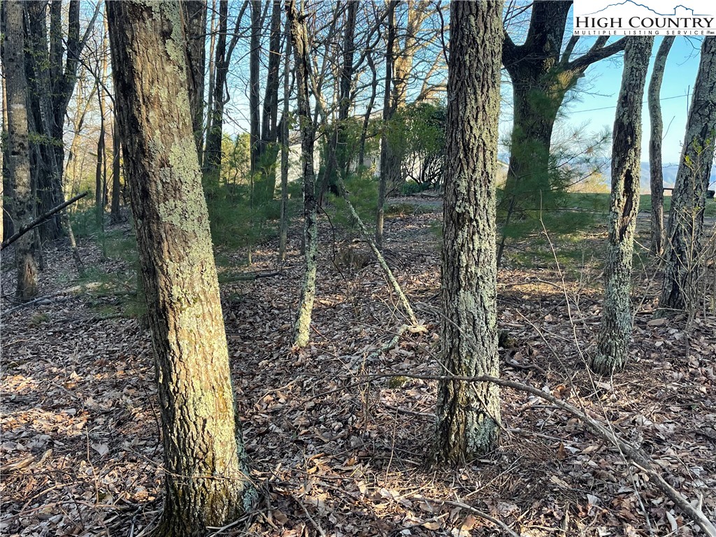 Lot 14 Eagle Nest Drive