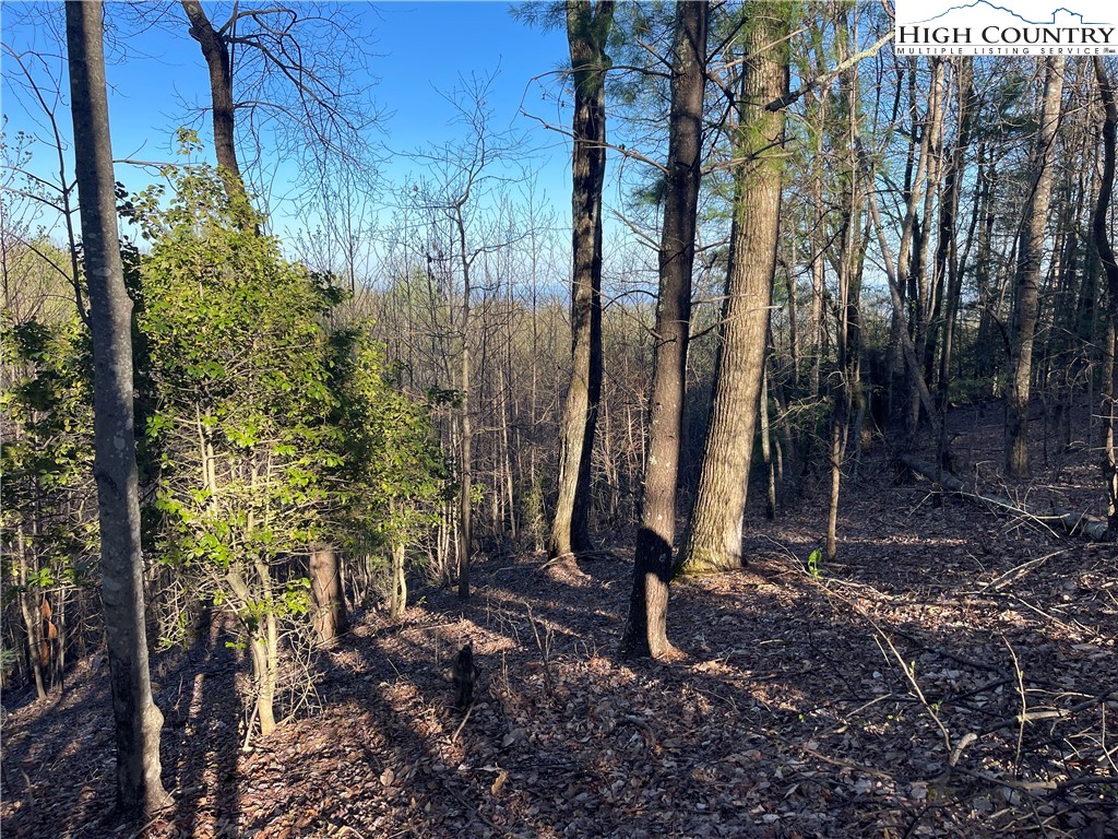 Lot 14 Eagle Nest Drive