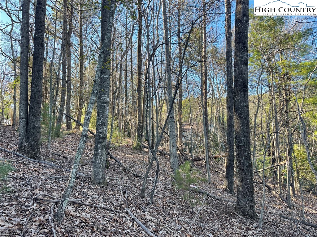 Lot 14 Eagle Nest Drive