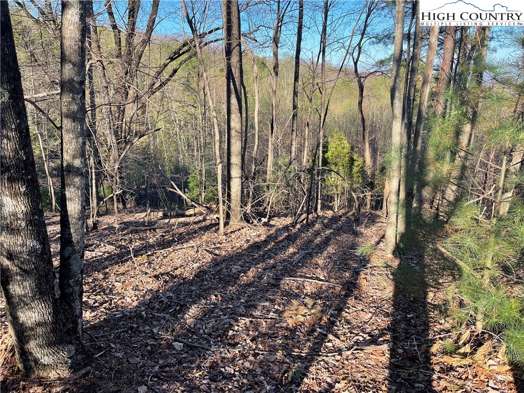 Lot 14 Eagle Nest Drive