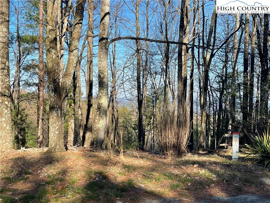 Lot 14 Eagle Nest Drive