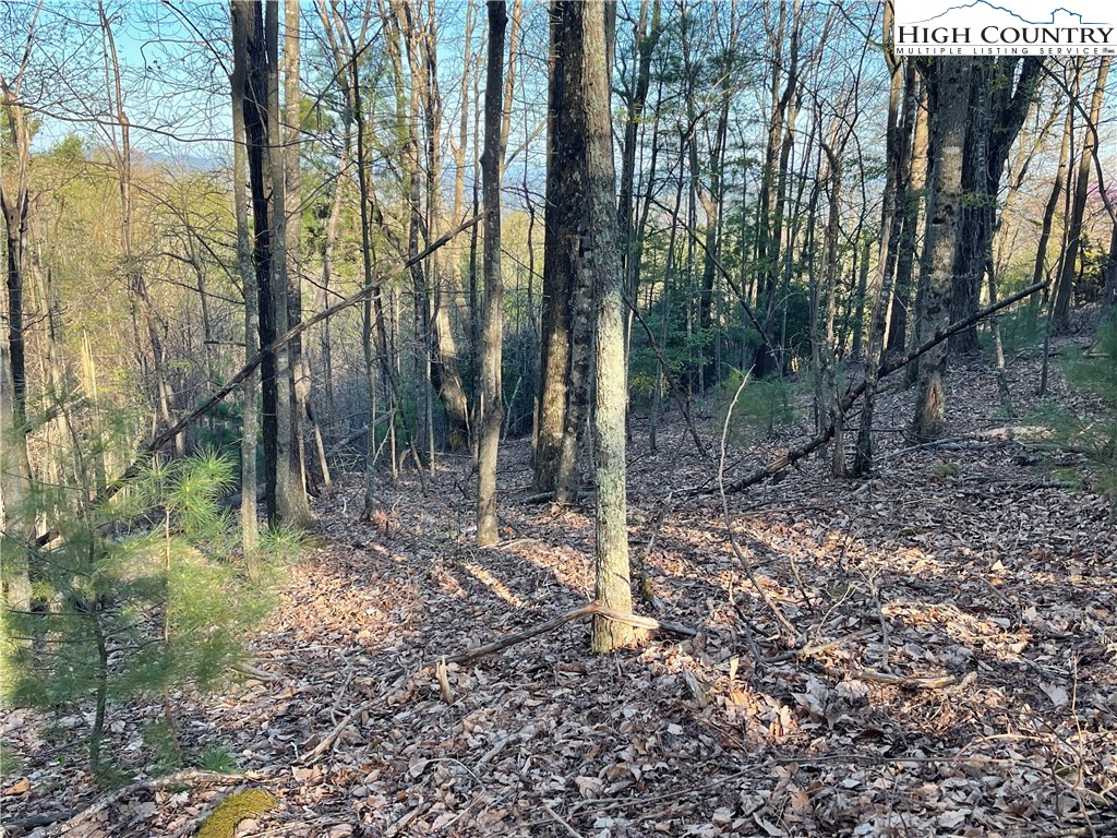 Lot 14 Eagle Nest Drive
