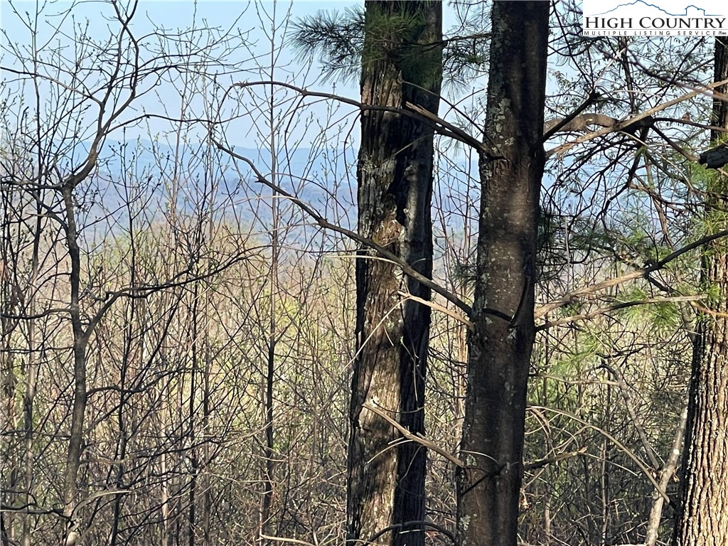 Lot 14 Eagle Nest Drive