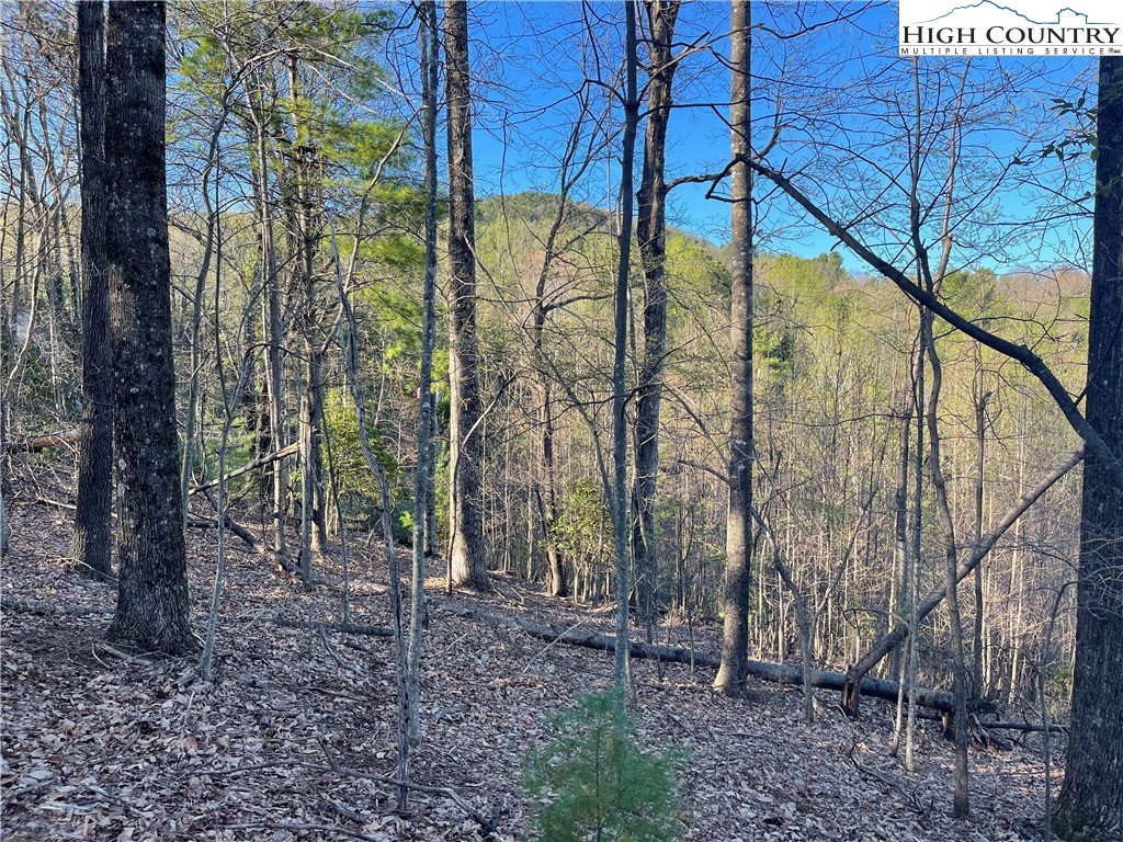 Lot 14 Eagle Nest Drive