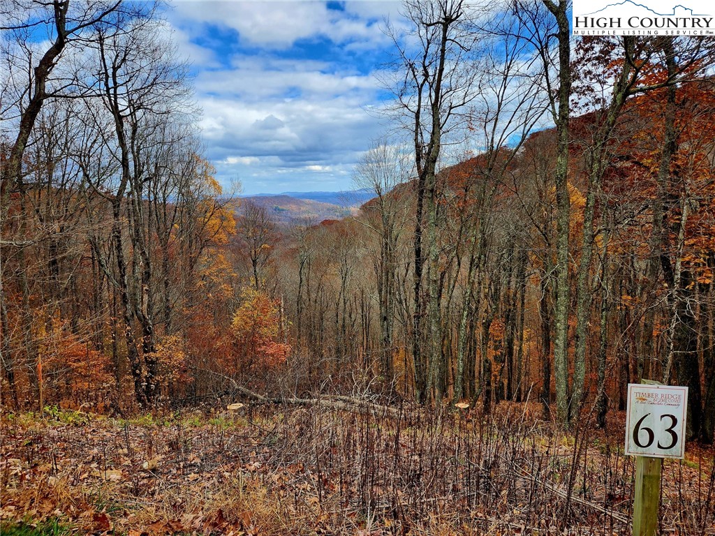 Lot 63 Bob Timberlake Drive