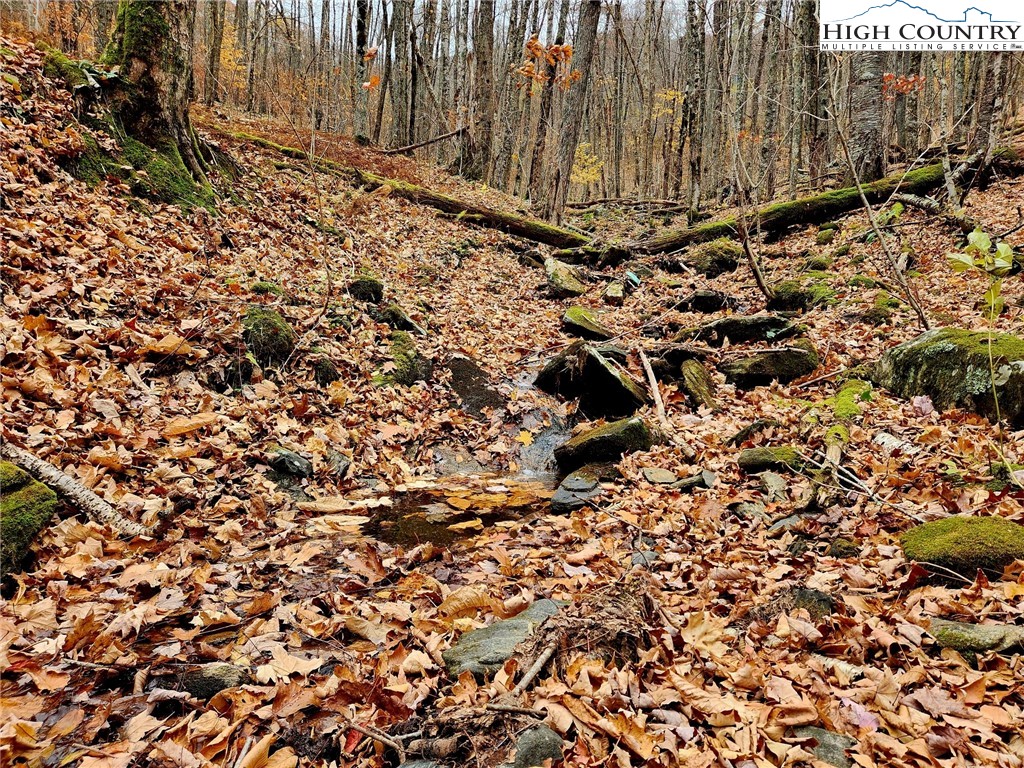 Lot 63 Bob Timberlake Drive