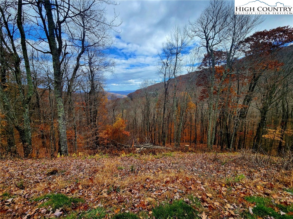 Lot 63 Bob Timberlake Drive