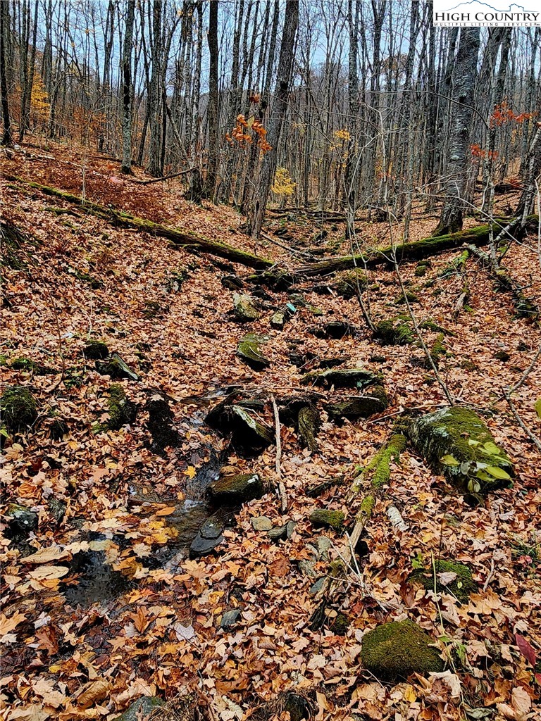 Lot 63 Bob Timberlake Drive