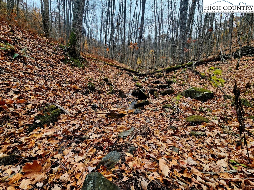 Lot 63 Bob Timberlake Drive