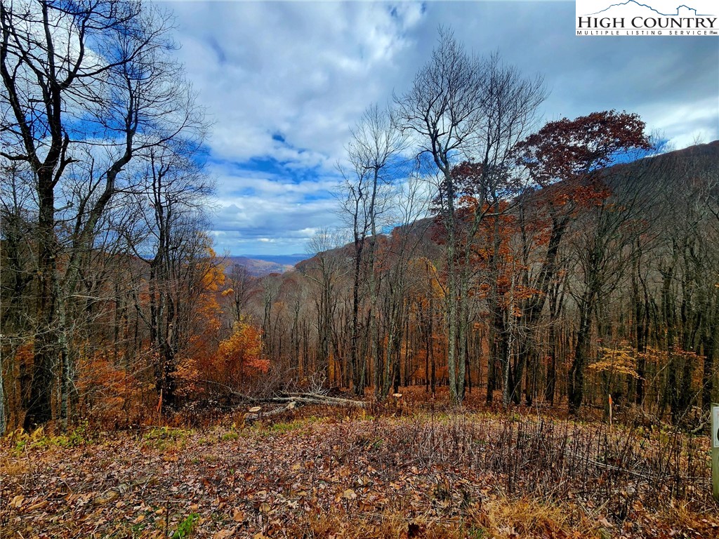 Lot 63 Bob Timberlake Drive
