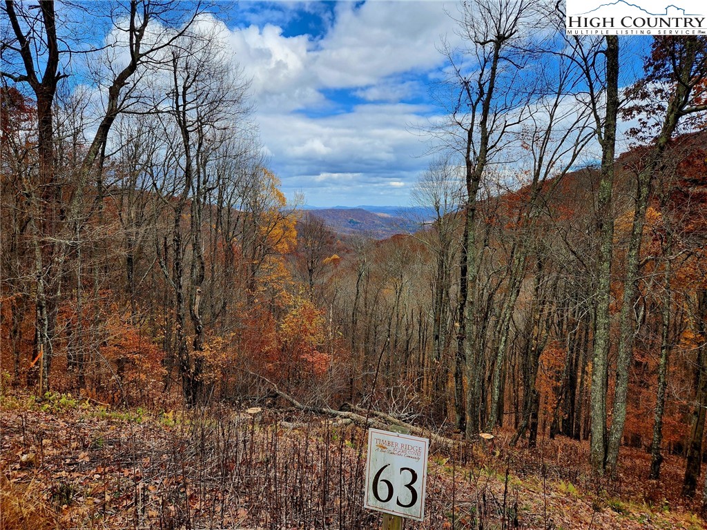 Lot 63 Bob Timberlake Drive