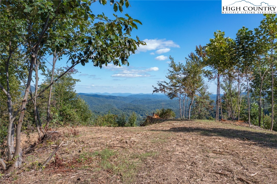 TBD Lot 1 Elk Creek Road