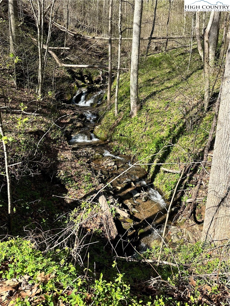TBD Lot 1 Elk Creek Road