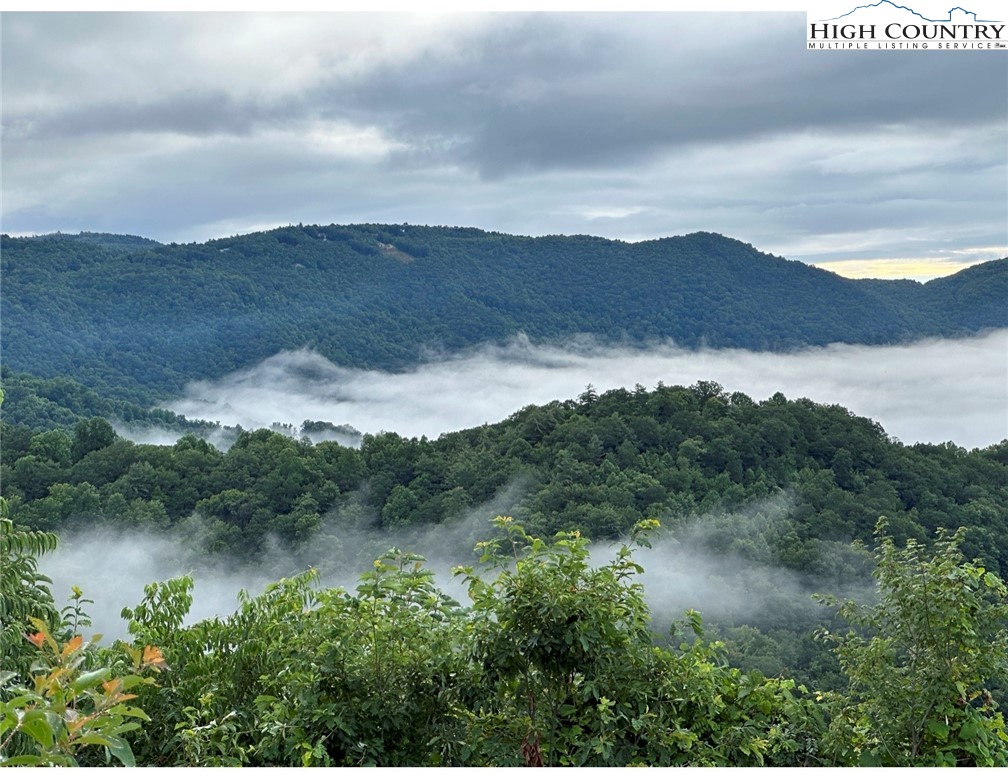 TBD Lot 1 Elk Creek Road