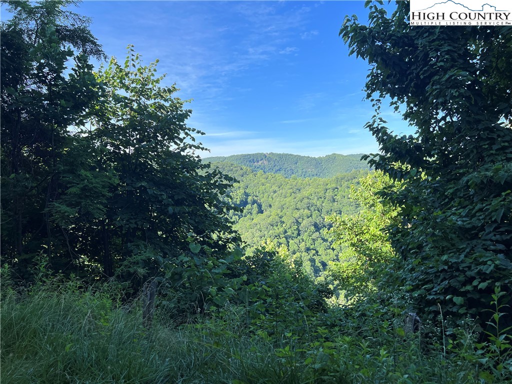 TBD Lot 1 Elk Creek Road