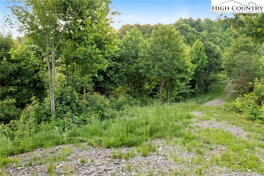TBD Lot 1 Elk Creek Road