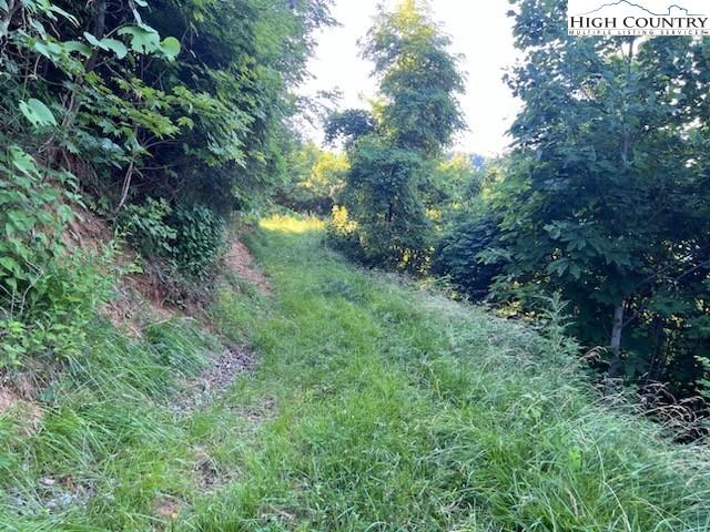 TBD Lot 1 Elk Creek Road