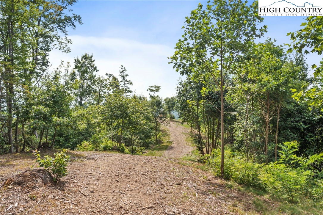 TBD Lot 1 Elk Creek Road