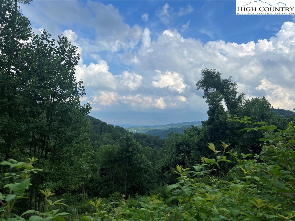 TBD Lot 2 Elk Creek Road