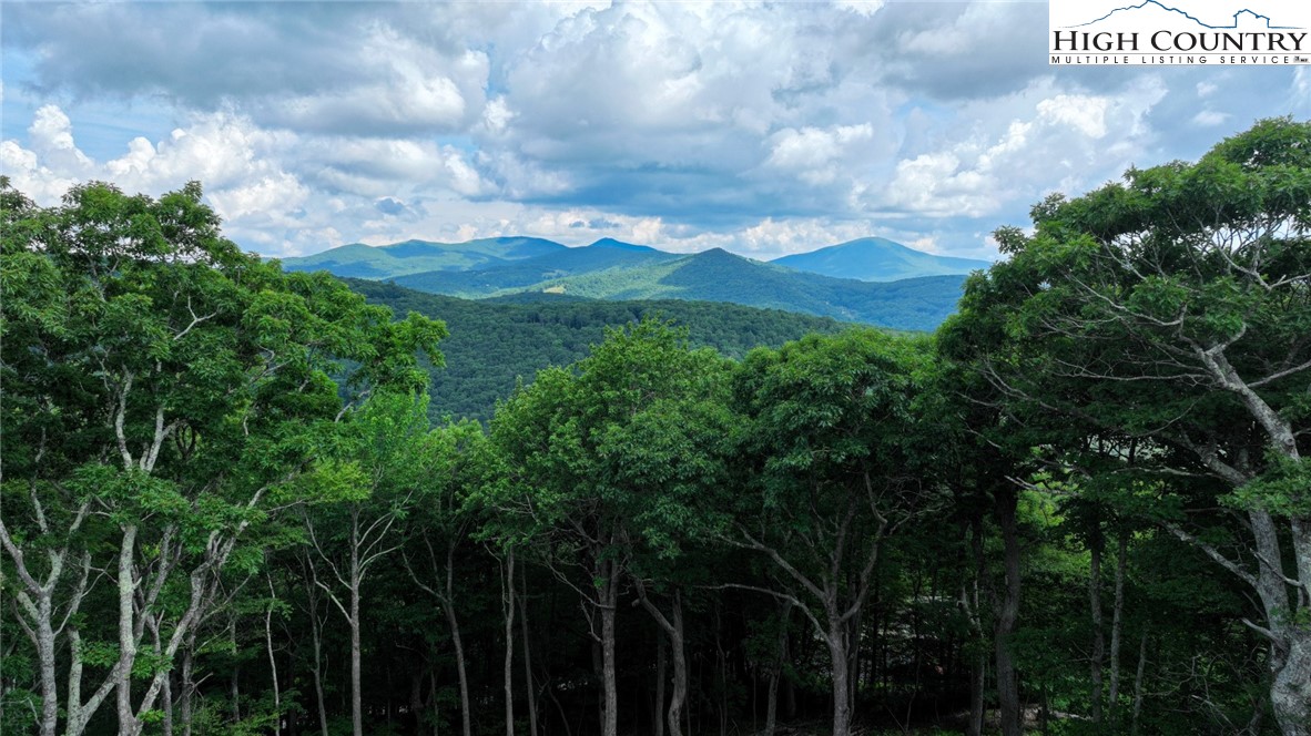 598 Running Deer Trail