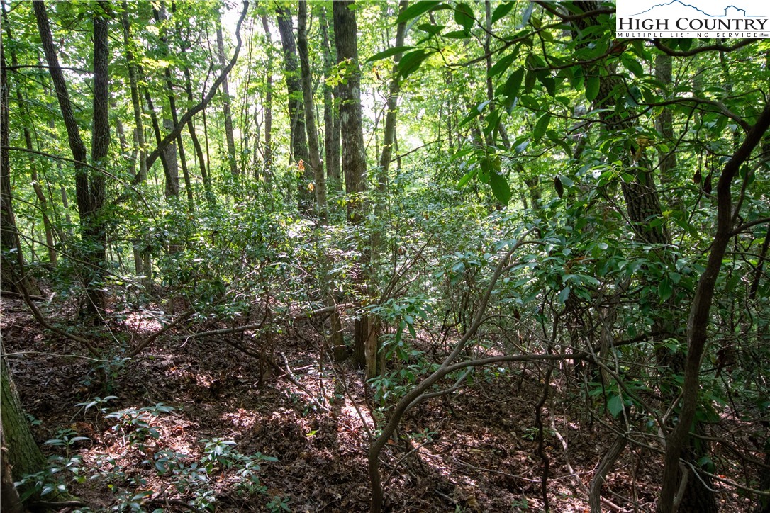 Lot# 11 Bridle Ridge Way