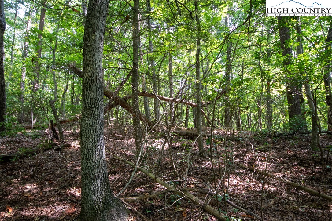 Lot# 11 Bridle Ridge Way