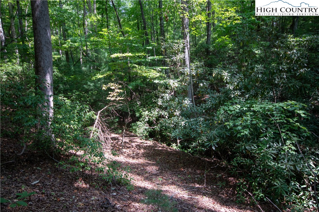 Lot# 11 Bridle Ridge Way